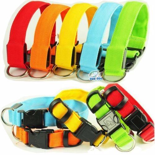 Premium Glow-In-The-Dark LED Safety Collar